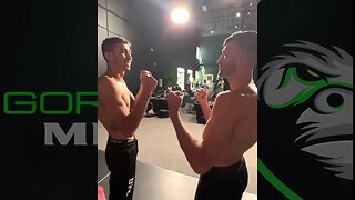 Julian Erosa vs Fernando Padilla: UFC Vegas 72 Face-off