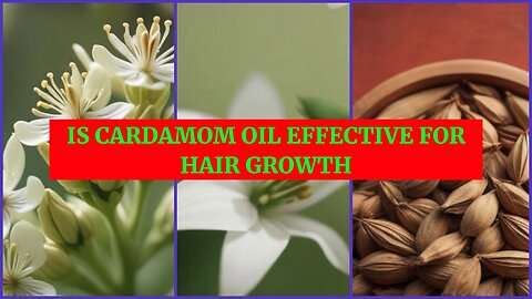 Cardamom Oil: The Ultimate Hair Care Solution