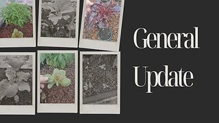 General Update!