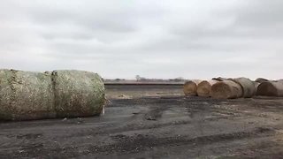 Hay Delivery