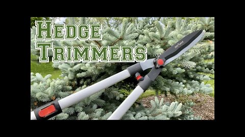 Cheap Extendable Hedge Shears Review