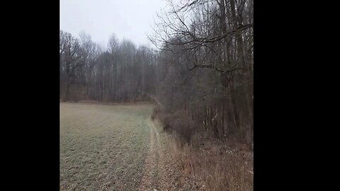 WALK WITH ME Around a Winter Hayfield