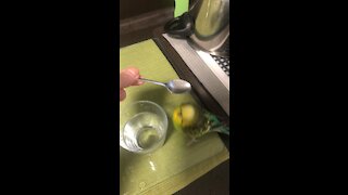 Budgie Play with water