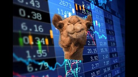 Camel finance - A Quick Update