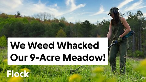 We WEED WHACKED Our Entire 9-ACRE MEADOW! — Ep. 177