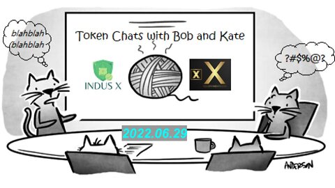 Token Chats with Bob & Kate - induspayments.com Session#3 - ISO20022 Big Coins Revisited 2022-06-29