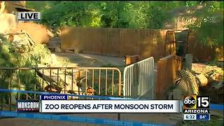 Phoenix Zoo will reopen Saturday after monsoon storms