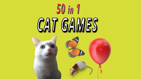 CAT GAMES: 50 in 1 Video
