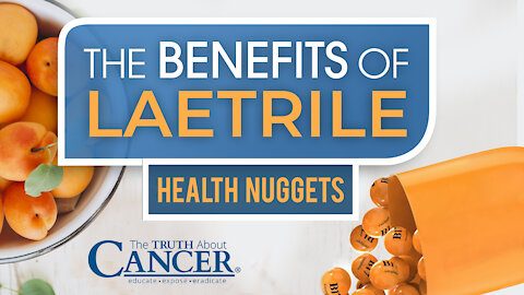 The Truth About Cancer: Health Nugget 10 - The Benefits of Laetrile
