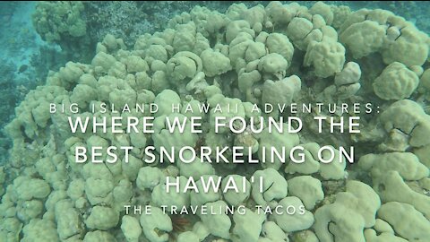 The Best Snorkeling We Found on Hawai'i - The Traveling Tacos - Exploring The Big Island Hawai'i