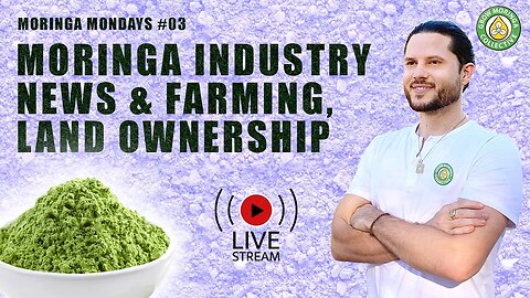 Moringa Industry News, Land Investment, Farming on Other People's Property, Collective Ownership