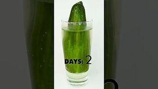 How to Grow a Cucumber Tree 🥒