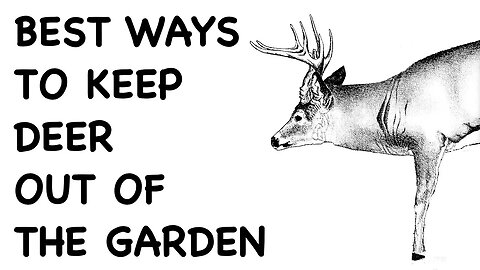 Keeping Deer Out of the Garden - FHC Q & A