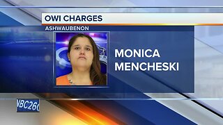 Mother cited with 2nd OWI after police say she drove through backyards with three young kids in car