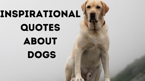 Inspirational Dog Quotes -Pet Quotes-Best Dog Inspired Quotes.