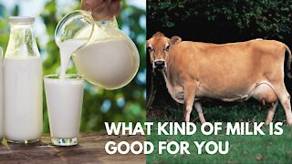 What Kind of Milk is Good for You