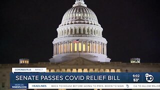 Senate passes COVID-19 relief bill