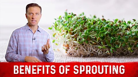 Nutritional Benefits of Sprouts Explained By Dr. Berg