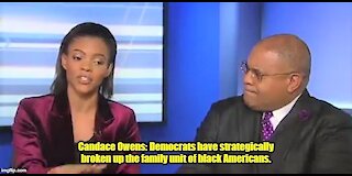 Candace Owens: Democrats have strategically broken up the family unit of black Americans.