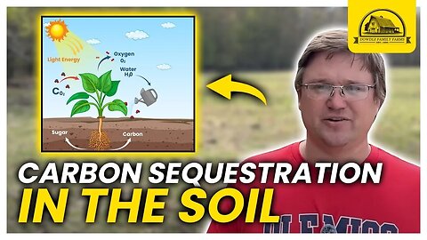 A Regenerative Farmer Talks Carbon Sequestration in Soil