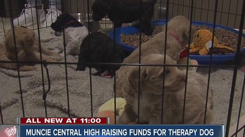 Muncie Central High School raising funds for therapy dog