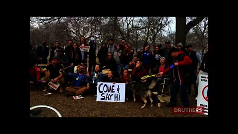 Freedom Family Picnic / Pop Up Activism in Toronto Yesterday. This is What Humanity Looks Like!!