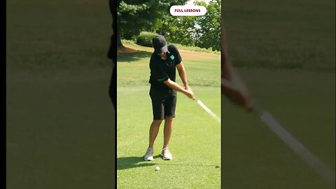 Quick tips For Better Chipping contact