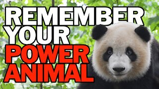 Remember Your Power Animal