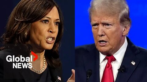 US 2024: Harris, Trump's contrasting election campaigns | A-Dream