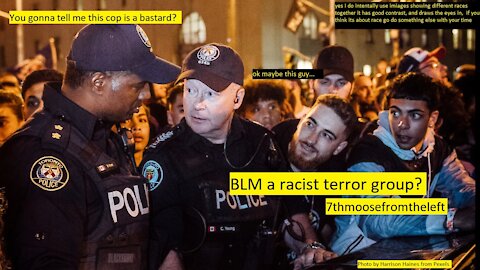 is BLM a terroristic organization