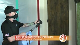 Get rid of viruses during pandemic with Dry Force Restoration Specialists