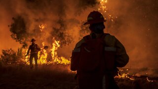California Gov. Declares State Of Emergency Over Fires Amid Heat Wave