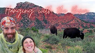 Bison Haven: A Rainy Day Hike into the Red Canyons