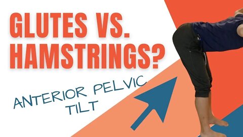 Anterior Pelvic Tilt Muscles - Glutes vs. Hamstrings Strength?