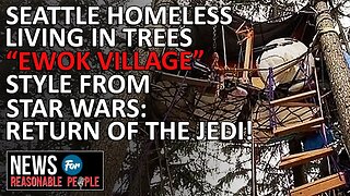 Seattle's Ewok Village: The Ingenious Yet Disturbing Reality of Tree Top Homeless Encampments