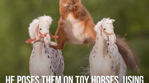 Photographer Poses Squirrels on Toy Horses