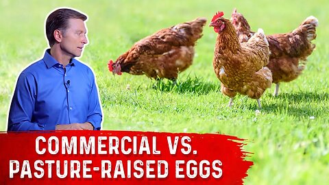 Commercial Eggs vs. Pasture-Raised Eggs – Dr.Berg