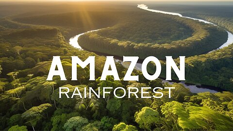 Amazon Serenity: Immersive Jungle Sounds with Breathtaking Rainforest Views