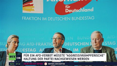 Debatte um AfD-Verbot