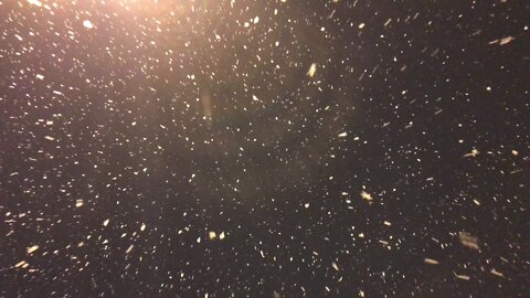Just giant snowflakes