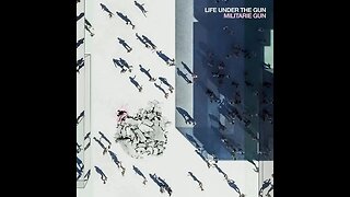 Life Under the Gun - Militarie Gun - Crítica