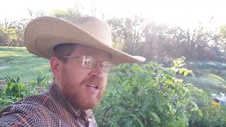 Central Texas Homestead Update 11-24-2023