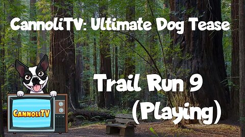 CannoliTV Video Library: Relaxing and Calming Dogs Trail Run - 09 #dogrunning #pup #dogtraining101