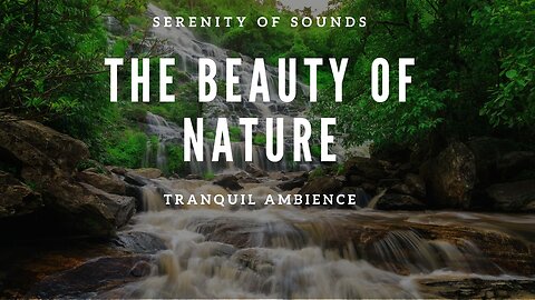 Tranquil Nature for Relaxation and Self Healing
