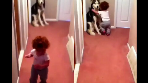 Cute Baby runs to dog in fear of vaccum cleaner voice