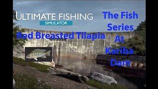 Ultimate Fishing Simulator: The Fish - Kariba Dam - Red Breasted Tilapia - [00060]