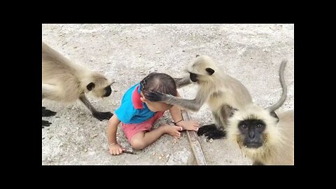 #Fear does not scare, kills, but this child likes to live among these langues#