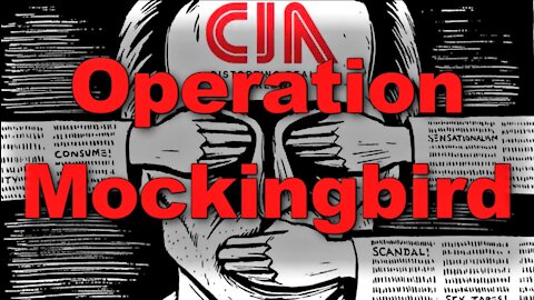 Operation Mockingbird MiniDoc