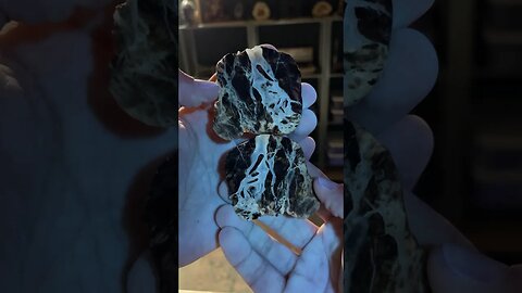 Black agate that reacts to ultraviolet light cut open!