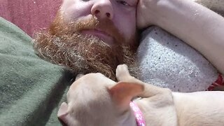 Miley loves to play with my beard #puppy #relaxing #puppylove